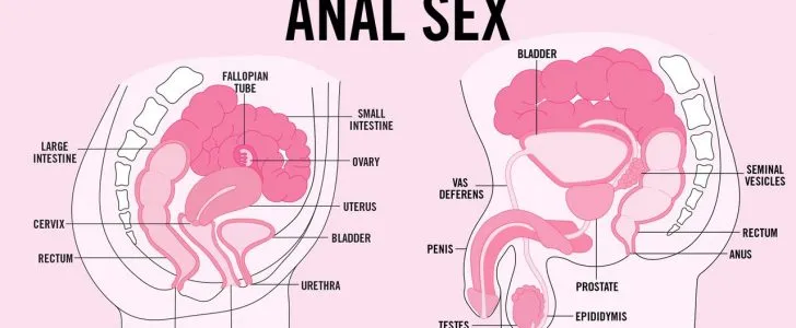 how to have better anal sex